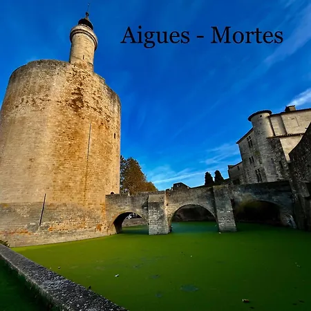 L Ecrin De Gambetta - Maison Cosy Intra-muros Avec Parking Inclus *